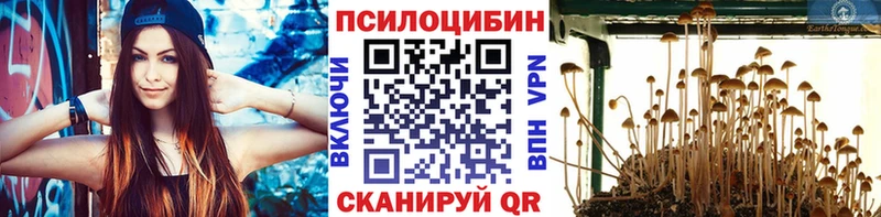 Галлюциногенные грибы Psilocybine cubensis  Купить где  Воткинск 